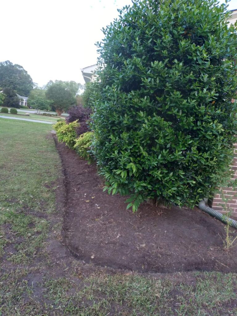 Landscaping Services in Edenton
